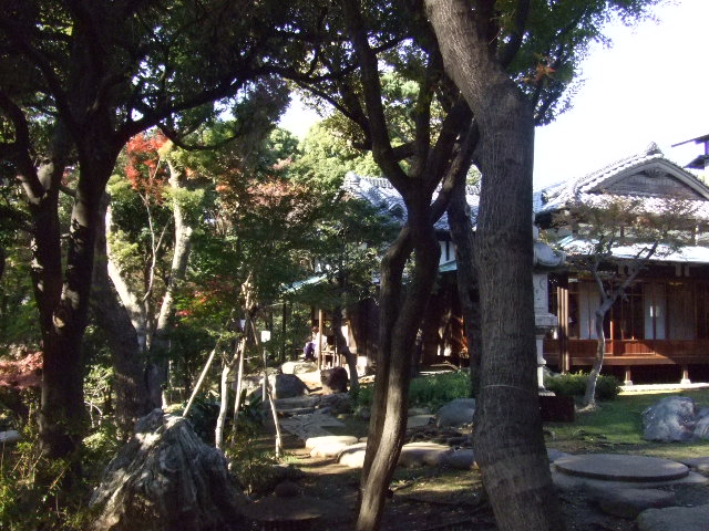 重要文化財　旧朝倉家住宅