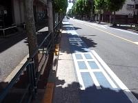 出張所の前の道路は自転車レーンがあります