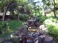 「せせらぎ」の名前のとおりステキなせせらぎがあります