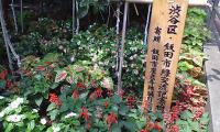 私も参加予定です！「渋谷の森を作ろう」～長野県飯田市緑体験交流～