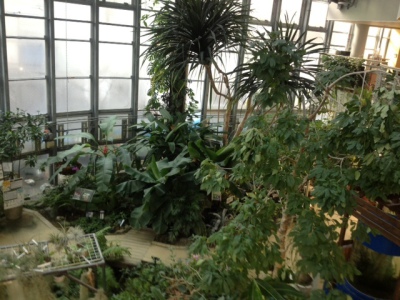 植物センター１