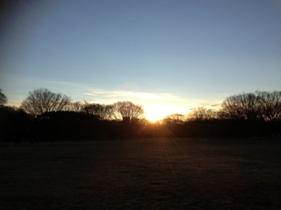 代々木公園朝日