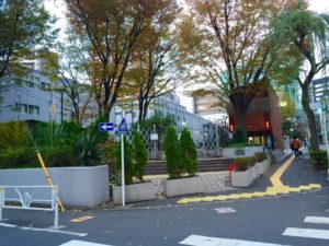 容積増が争点に 渋谷区役所と公会堂建て替え計画 日経不動産マーケット情報