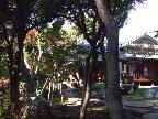 重要文化財　旧朝倉家住宅