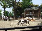代々木ポニー公園