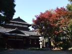 「旧朝倉家住宅」の紅葉です。