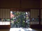 住宅のガラス障子から見る庭園の景色も本当にきれい