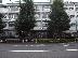 原宿外苑中学校